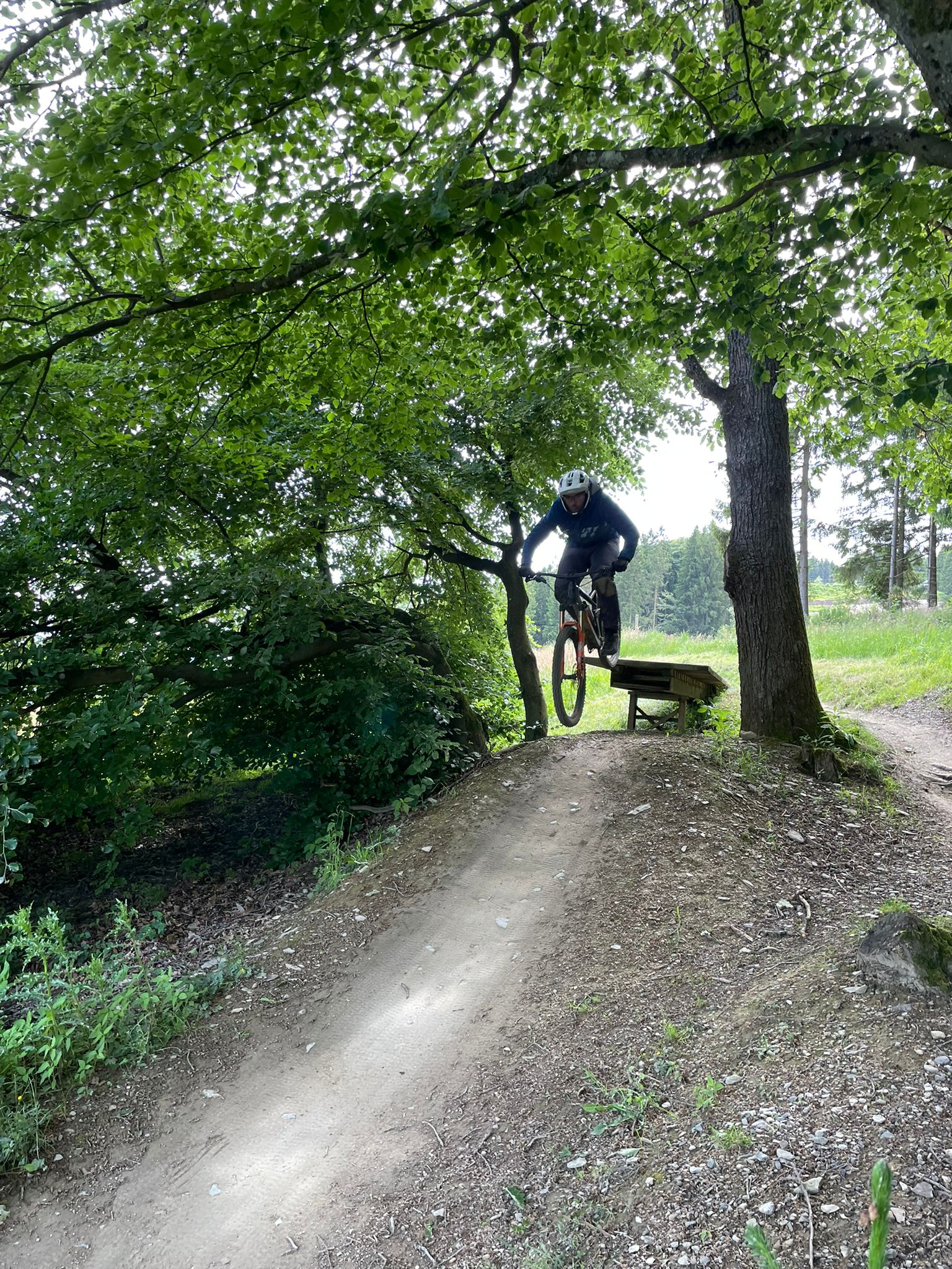 Mountainbike Fahrtechnik im Trail